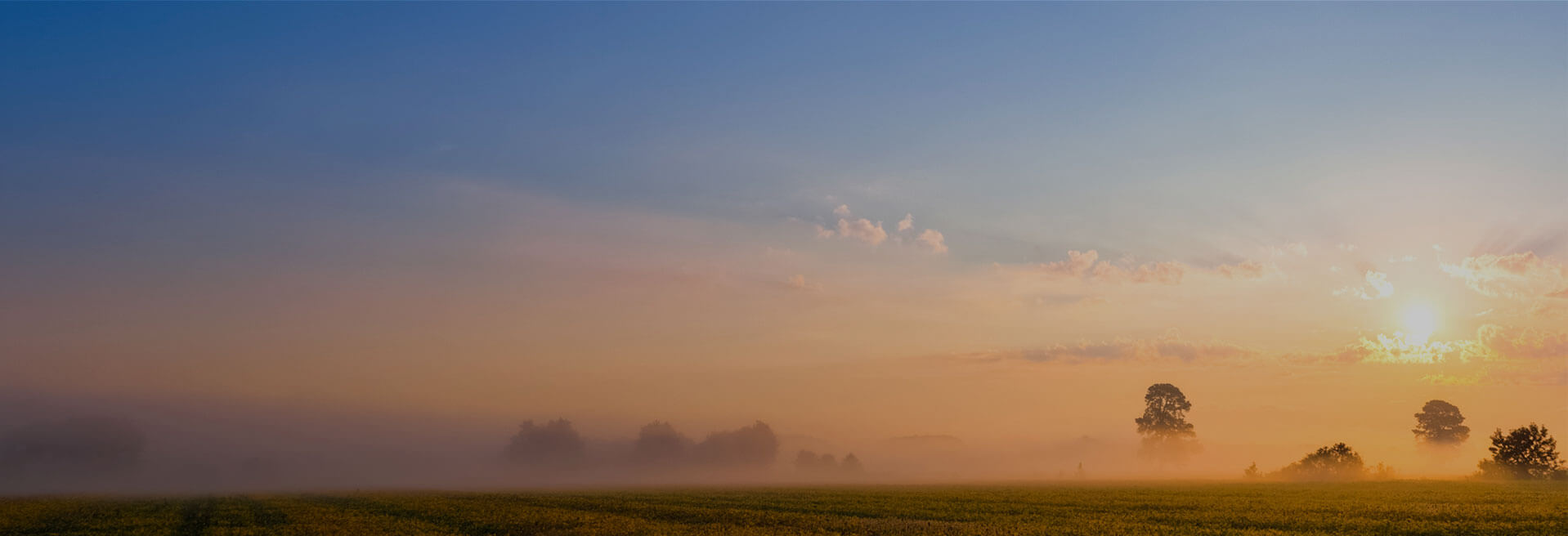 Photo of Farmland