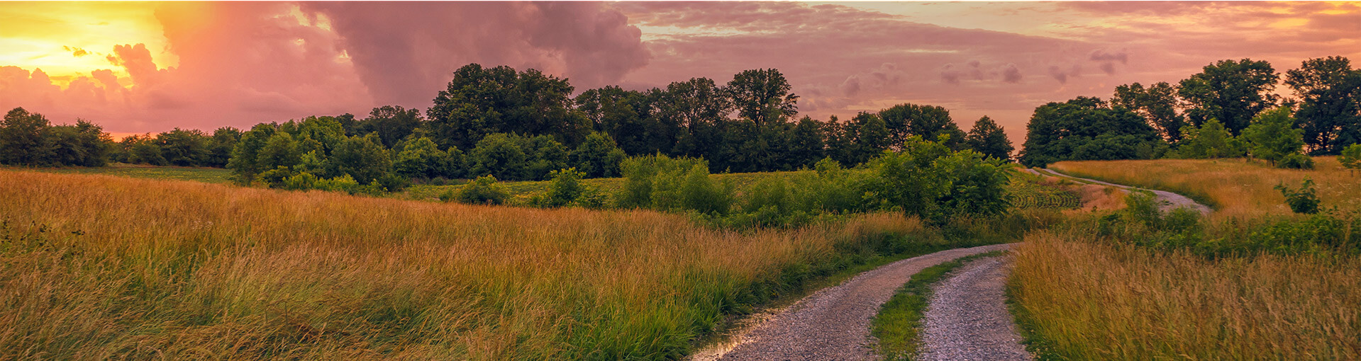 Photo of Rural Land